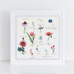 Flower Identification Illustration -  Art Print