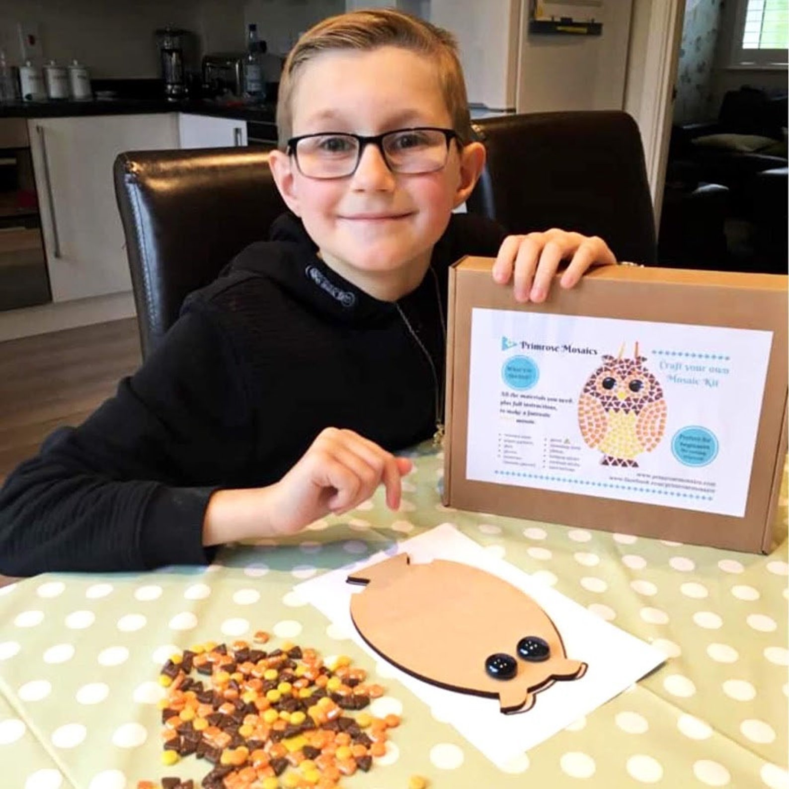 Learn How to Mosaic Owl Mosaic Craft Kit for Kids/adults Etsy