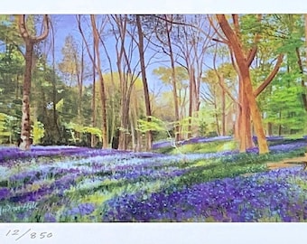 Bluebell Woods, Limited Edition Art Print Panorama of Sussex Woodland Landscape, Featuring Bluebells from Oil Painting by Artist Andrew Hill