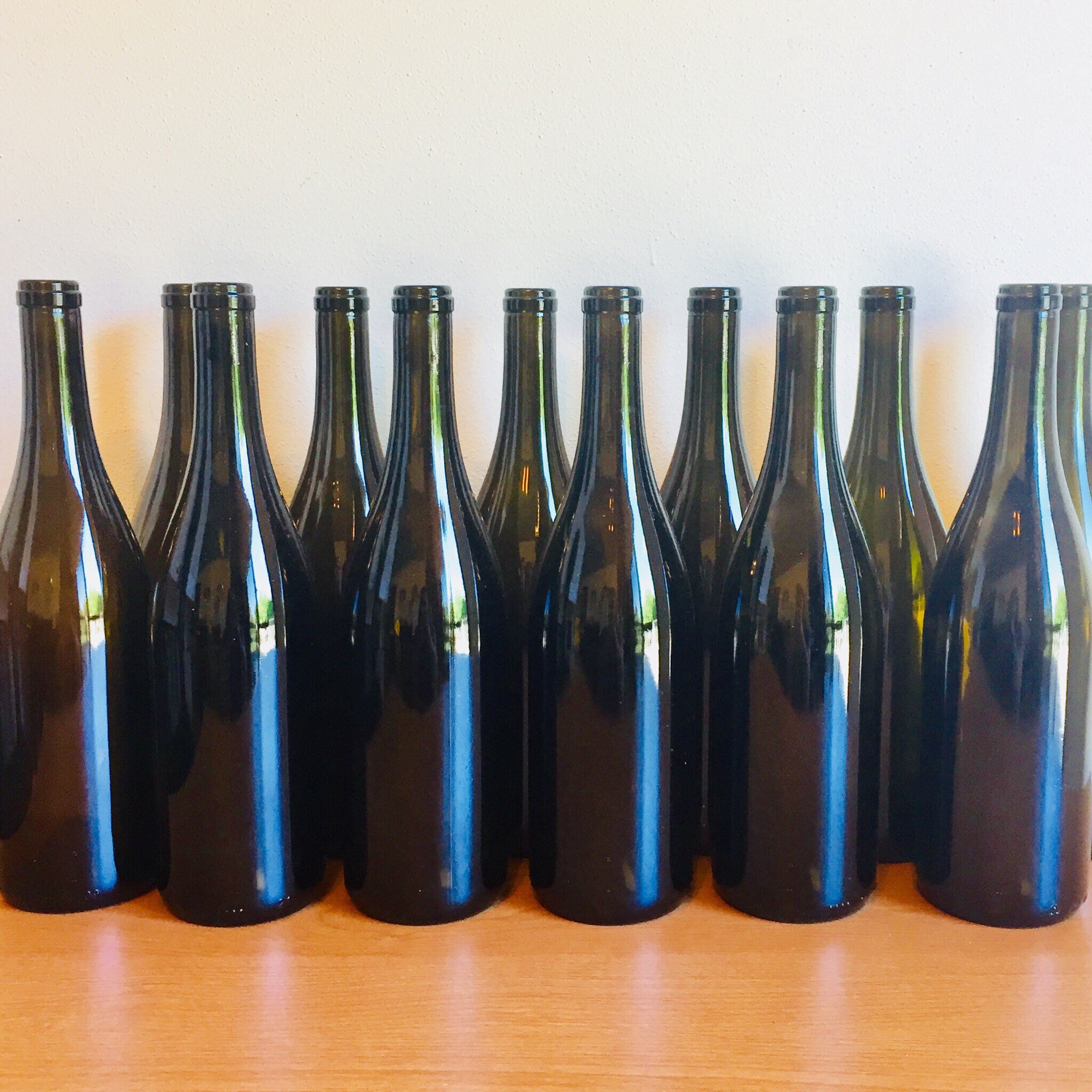 Empty Wine Bottles Without Labels 12pack Rustic Empty Wine Etsy