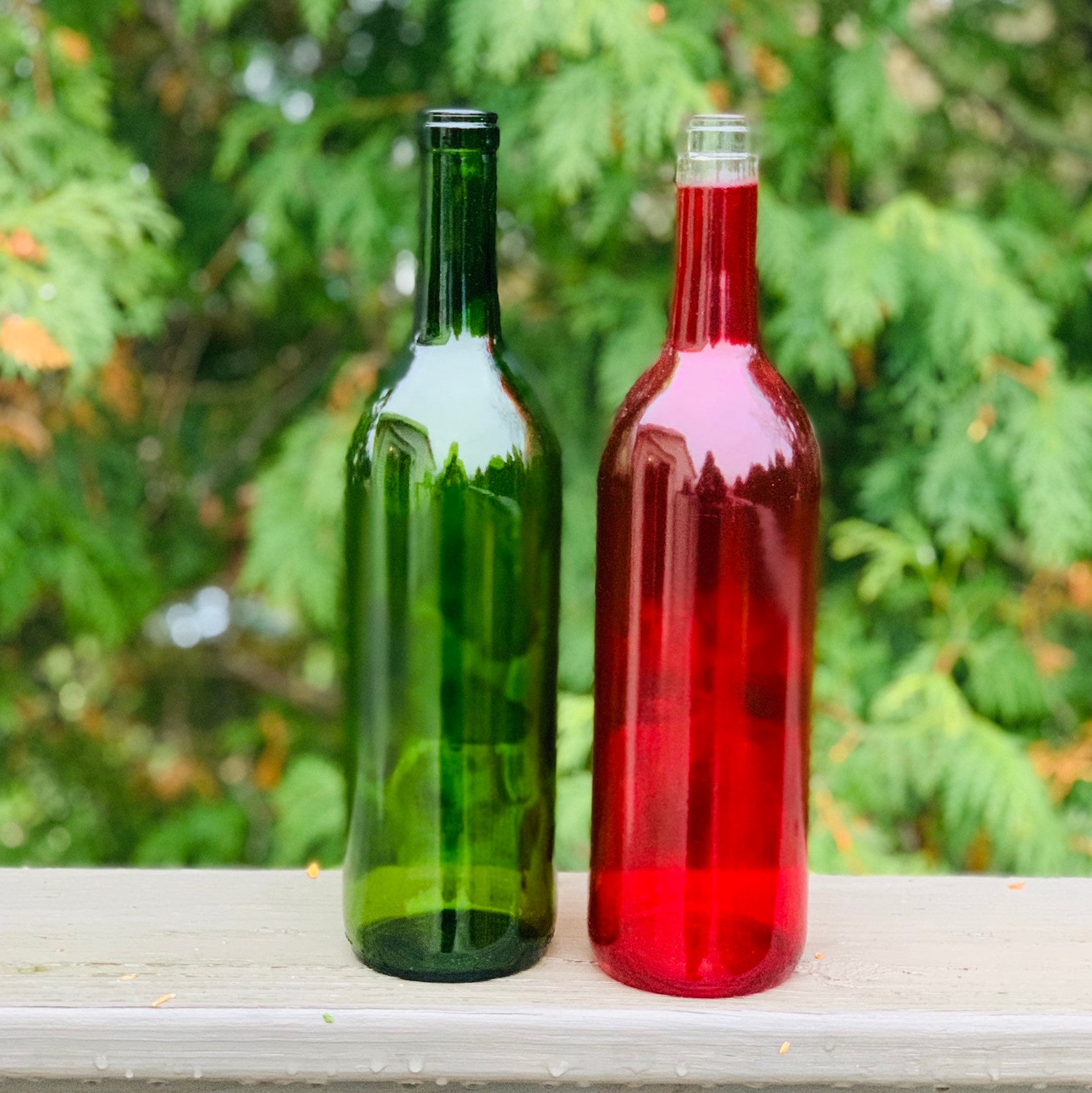 Empty Vibrant Red and Green Wine Bottles Red Green Wine Etsy