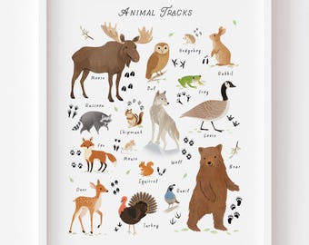 Woodland Nursery Animal Tracks Print | Animal Tracks Poster for Kids | Forest Animals Footprint Chart | Nature Learning Print