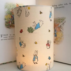 Beatrix Potter Peter Rabbit and friends- Handmade Nursery Night Light