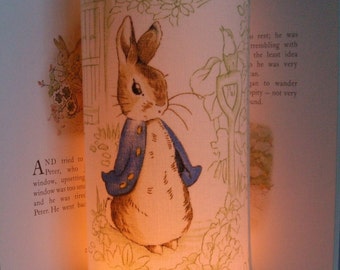Beatrix Potter Peter Rabbit Handmade Nursery Night Light. | Etsy