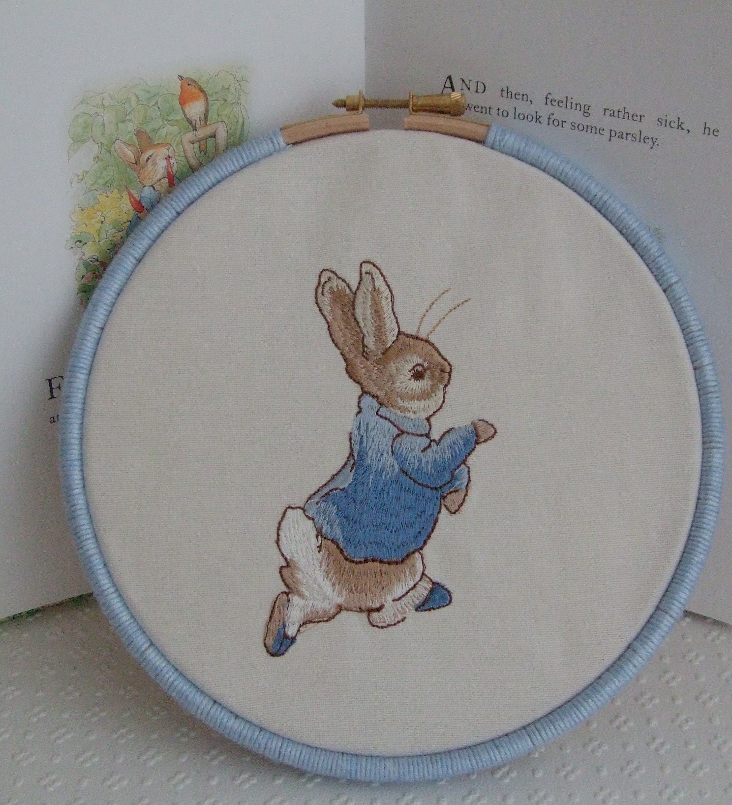 Chicos Beatrix Potter Bordado Peter Rabbit Pijamas Lounge Desgaste