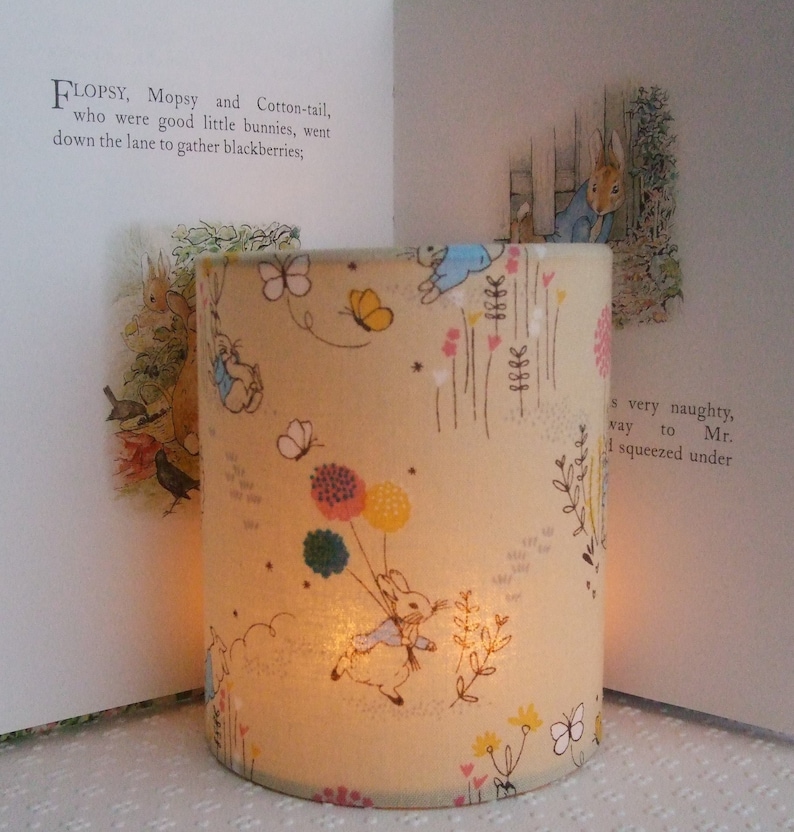 Beatrix Potter Peter Rabbit Handmade Nursery Night Light. - Etsy