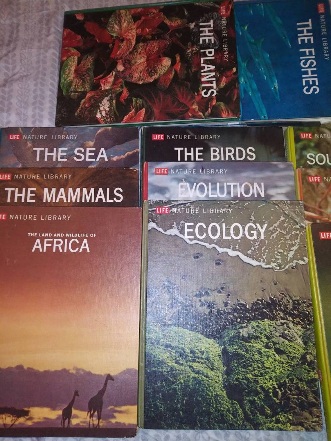 Lot Of 12 Life Nature Library Books 1960's Homeschool Etsy