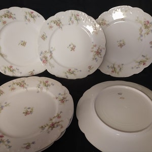 Vintage Havilland Limoges Plates & platter