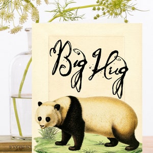 Vintage Big Hug Collage Art Card ~ Panda Bear Natuur Illustratie Beer Knuffel Liefde, Vriendschap, Zorg, Wensen ~ Designer Hoge Kwaliteit WT036