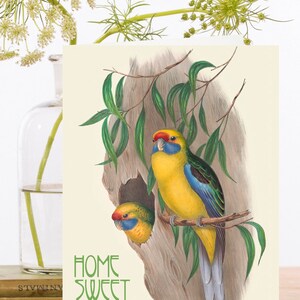 Vintage New Home Greeting Art Card ~ Illustrazione Due nidificanti Rosella Birds in Tree Home Sweet Home ~ Designer di alta qualità NH006