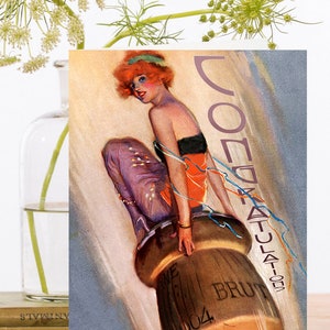 Cartão de arte de colagem vintage extravagante ~ Material de origem sustentável Manga biodegradável ~ Menina em cortiça de champanhe ~ Designer de alta qualidade WT021