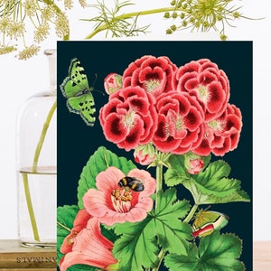 Fantaisie vintage Collage Art Card ~ Illustration Florale Botanique Corail Rose Parfumé Géranium Abeille Papillons ~ Designer Haute Qualité RS148