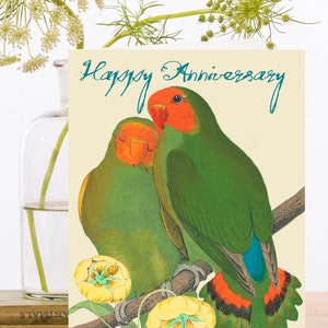 Cartão de arte de saudação de feliz aniversário ~ Papagaios abraçando pássaros amorosos empoleirados em um galho escalando flor exótica ~ Designer de alta qualidade SA016