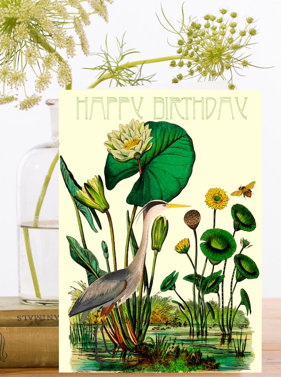 biodegradable greeting card sleeves Amazon.com: Juvale Card Sleeves - 7.6 x 5.7 in, Clear, 300 Pack