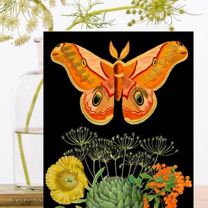 Carte d'art de collage vintage fantaisiste ~ Manchon biodégradable de matériau d'origine durable ~ Papillon orange et fleurs ~ Designer de haute qualité RS181