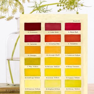 May include: A color chart with 18 paint swatches labeled with their names, including Crimson, Lake Red, Rose Red, Carmine, Geranium Red, Vermilion, Orange, Orange-Buff, Cadmium Yellow, Wax Yellow, Chrome Yellow, Deep Chrome, Gamboge Yellow, Lemon Yellow, Canary Yellow, Primrose Yellow, Sulphur Yellow, Citron Yellow, Olive-Yellow, Straw Yellow, and Naples Yellow. The chart is on a cream-colored background with a black border.