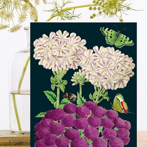 Carte d’art fantaisiste ~ vintage Collage Art ~ Midnight Botanical Print ~ Glandularia ~ Allium ~ Fleurs violettes ~ Papillons ~ Designer ~ Haute qualité RS147