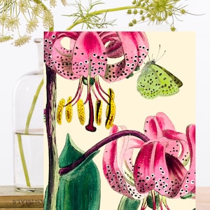 Carte d'art Collage vintage fantaisiste ~ Manchon biodégradable de matériau d'origine durable ~ Botanique ~ Lys rose ~ Designer RS190 de haute qualité