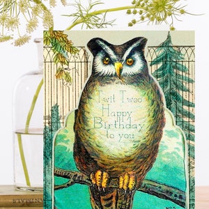 Cartão de arte de aniversário colagem vintage ~ material de origem sustentável manga biodegradável ~ coruja de feliz aniversário ~ designer de alta qualidade HB247