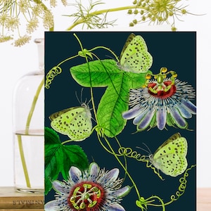 Carte d'art de collage vintage fantaisiste ~ Manchon biodégradable de matériau d'origine durable ~ Imprimé botanique ~ Floral ~ Designer de haute qualité RS185