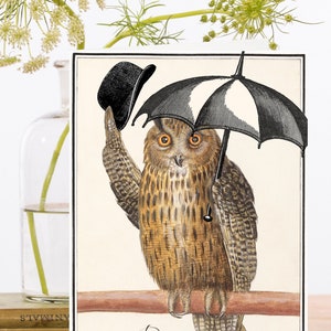 Carte d'art Collage vintage fantaisiste ~ Manchon biodégradable de matériau d'origine durable ~ Hibou chapeauté - Parapluie ~ Designer RS205 de haute qualité