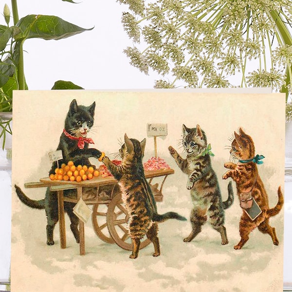 Whimsical Little Vintage Art Card ~ Sustainably Sourced Material Biodegradable Sleeve ~ Cats at the Market  ~ Designer High Quality VT018