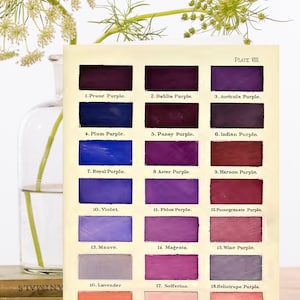 May include: A color chart with 21 different shades of purple and pink. The chart is labeled with the name of each color, such as "Prune Purple", "Dahlia Purple", and "Peach Blossom Pink".
