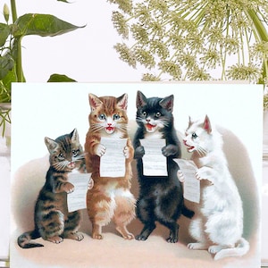 May include: Four kittens, one tabby, one black, one white, and one grey tabby, are singing from sheet music. The kittens are all looking up and singing with their mouths open.