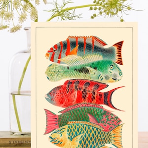 Carte d'art de collage vintage lunatique ~ Matériau d'origine durable Manchon biodégradable ~ Poisson de la grande barrière de corail ~ Designer RS200 de haute qualité