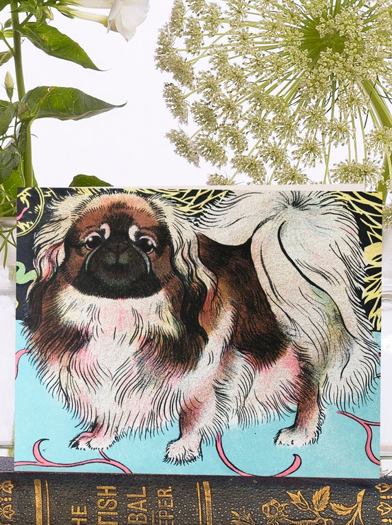 Whimsical Little Vintage Art Card ~Sustainably Sourced Material  Biodegradable Sleeve A Gorgeous Pekingese Designer High Quality VT065