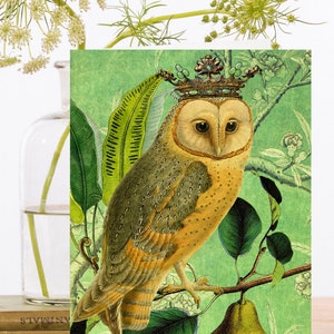 Madame Treacle Whimsical vintage Collage Art Card ~ Hibou, Couronne & Poire avec Fond Chinoiserie et Feuillage ~ Designer Haute Qualité RS003