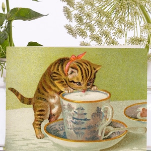 Petite carte d'art vintage fantaisiste ~ pochette biodégradable en matériau de source durable ~ chaton léchant la crème ~ designer de haute qualité VT066