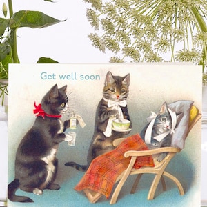 Cartão de arte vintage Get Well Little ~ Material de origem sustentável manga biodegradável ~ Get Well Soon Cats - Designer de alta qualidade VT088