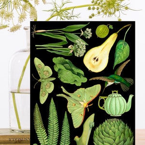 Carte d’art de collage vintage fantaisiste ~ Manchon biodégradable de matériaux d’origine durable ~ Théière de poire botanique ~ Designer de haute qualité RS242