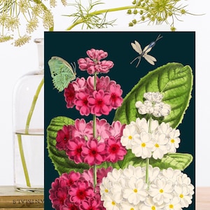 Cartão de arte de colagem vintage caprichoso ~ impressão botânica branco, flores rosa insetos joaninha e borboleta ~ designer de alta qualidade rs130