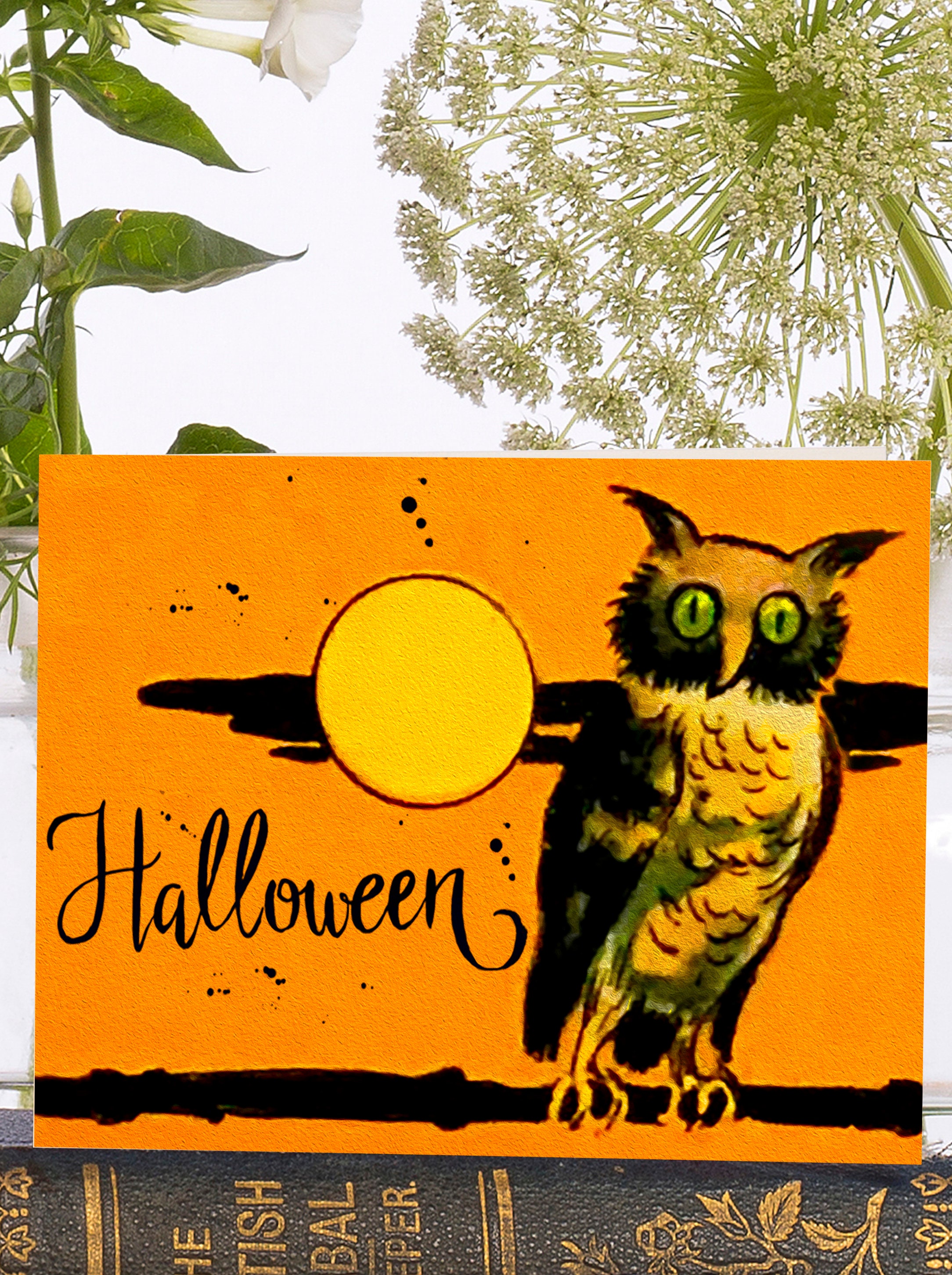 Whimsical Little Vintage Art Card ~ Sustainably Sourced Material Biodegradable Sleeve ~  Halloween Owl ~ Designer High Quality VT084