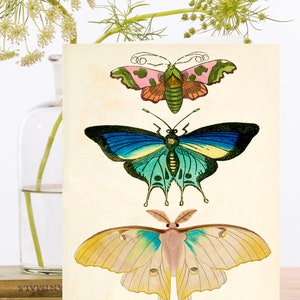 Carte d'art collage vintage fantaisiste ~ Manchon biodégradable en matériau de source durable ~ 3 papillons botaniques ~ Designer haute qualité RS240