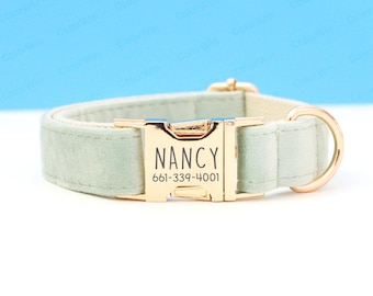 Collar de terciopelo aguamarina personalizado para perro y correa, hebilla de metal con nombre de mascota grabado, placa para perro, placa para gato, regalo de boda para cachorro