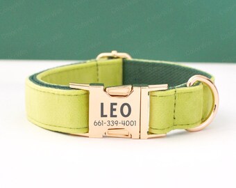 Collar de terciopelo de aguacate, collar y correa personalizados para perro, hebilla de metal con nombre de mascota grabado, placa para collar, nombre grabado gratis en el collar.