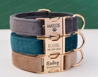Collar y correa de terciopelo para perro, con nombre de perro en hebilla de metal, placa personalizada para collar de perro y gato, regalo de Navidad para cachorro.