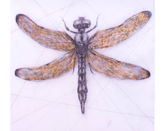 Dragonfly 8x10 Print