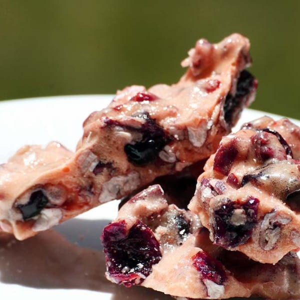 Pecan Cherry Brittle made with dried cherries and raw pecans (8oz)