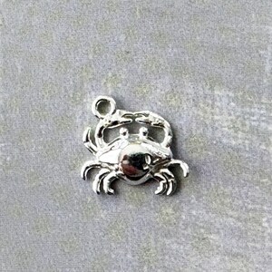 May include: Silver charm in the shape of a crab. The crab has a detailed design with claws and legs.