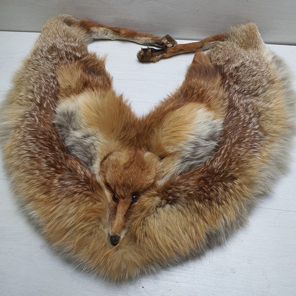 Vintage Fox Fur Scarf Drape Stole Wrap Collar Shawl Neck Warmer Tippet Natural Animal Leather Taxidermy Samuel Hall Cardiff. Viking Celtic