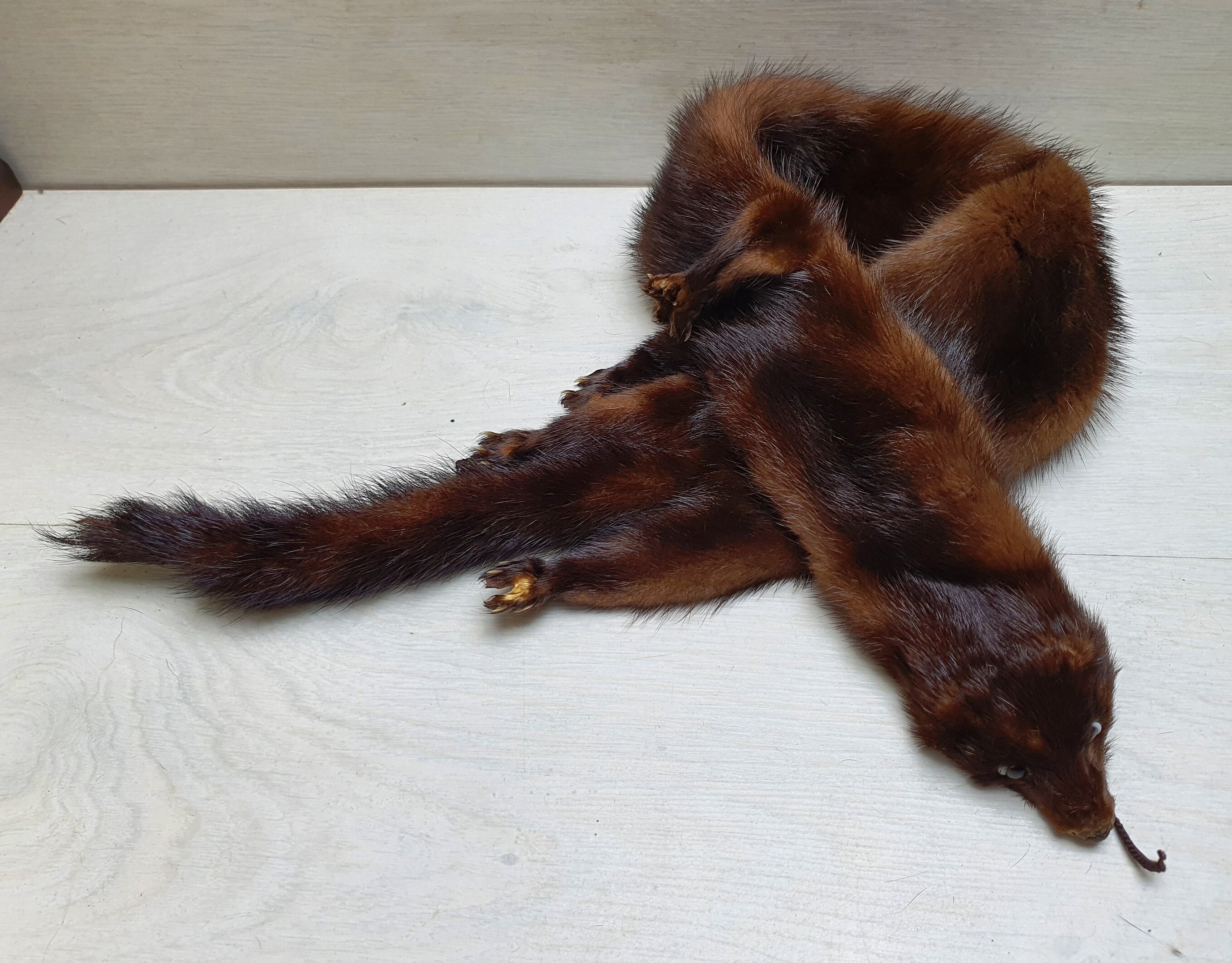 Mink scarf deals with head