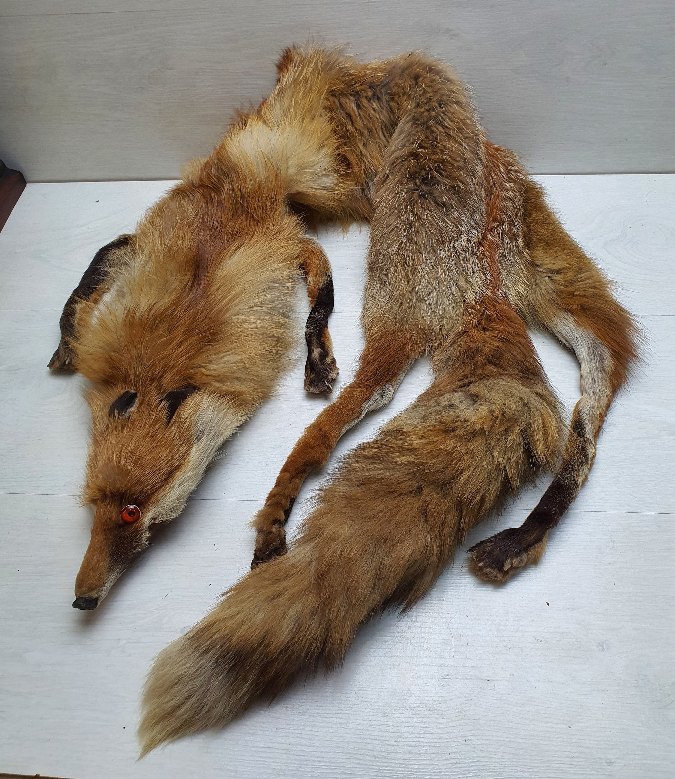 Vintage Collectible Full Size Red Fox Fur Scarf Head Tail Vintage Collectible Full Size Red Fox Fur Scarf Head Tail