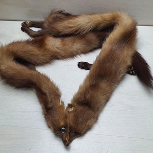 May include: A brown fur stole made from the pelt of a weasel. The fur is long and soft, and the stole is tied in a knot at the neck.
