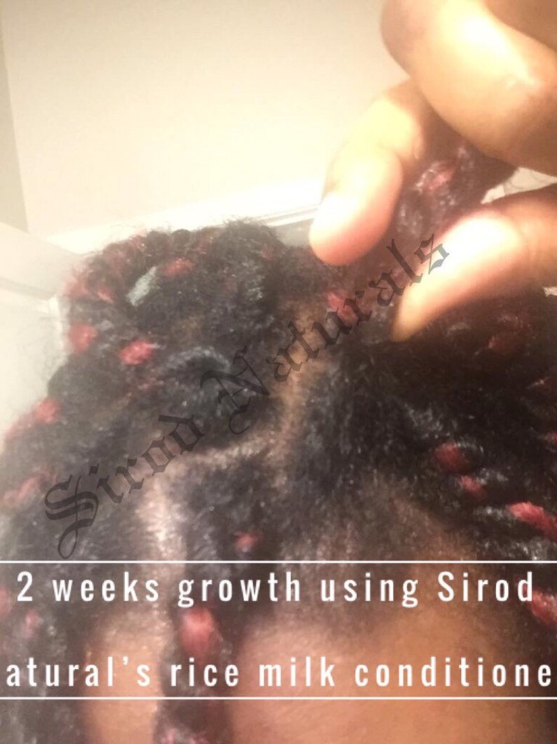 Fermented Black Rice Milk LeaveIn Conditioner with Ayurvedic Etsy