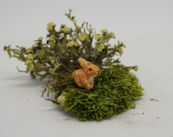 Lapin miniature, lapin miniature, petit lapin, lapin d'argile, lapin d'argile, animal de jardin féerique, décoration de jardin féerique