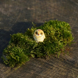 miniature owl, clay owl, owl figurine, miniature barn owl figurine, collectable, terrarium miniature decoration, fairy house, tiny owl, owl